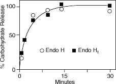 Endo Hf |