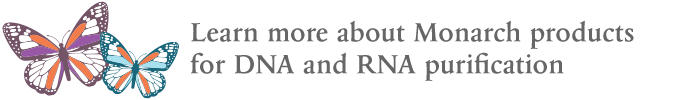 Monarch® 质粒重悬缓冲液（B1） |